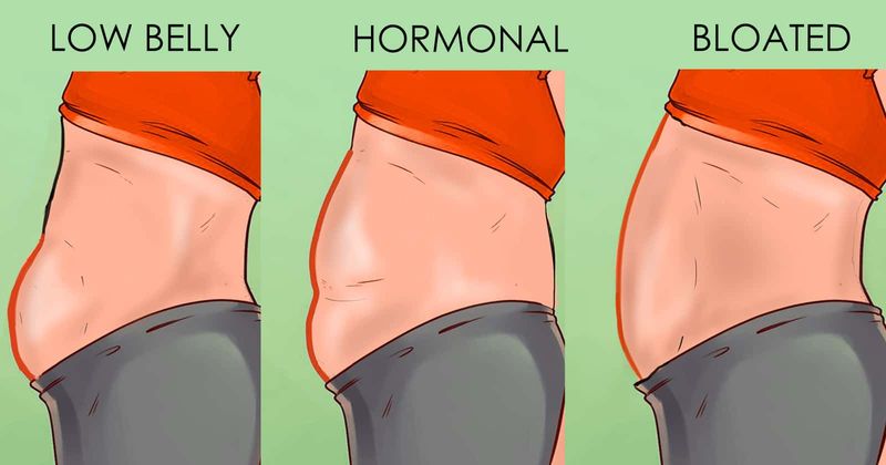 Bloated Belly Fat