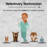 Veterinary Technician Jobs in the USA