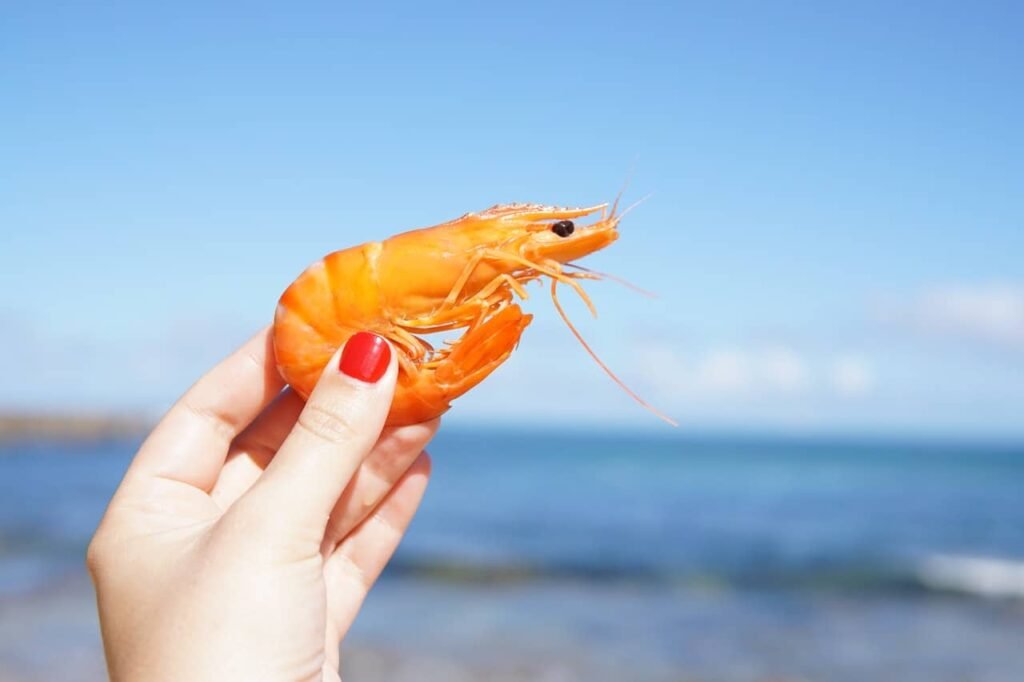 Can a diabetic eat shrimp